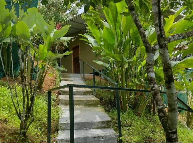 Hotel Cabinas Murillo